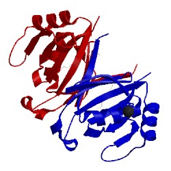 Image of CATH 1ecs