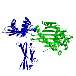 Image of CATH 1ed3