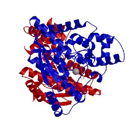 Image of CATH 1ee1