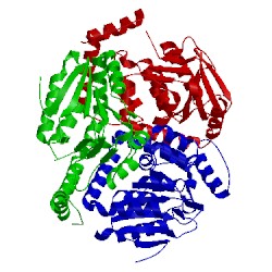 Image of CATH 1ef8