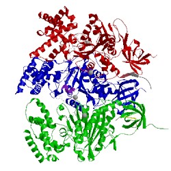 Image of CATH 1efr