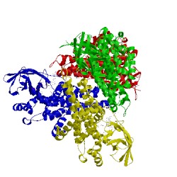 Image of CATH 1egc