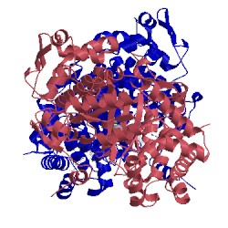 Image of CATH 1egm