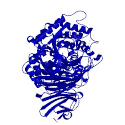 Image of CATH 1egu
