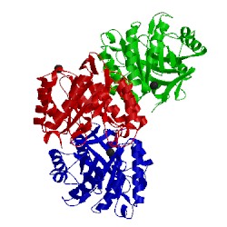 Image of CATH 1egz