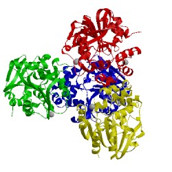 Image of CATH 1ehy