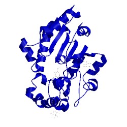 Image of CATH 1ei9