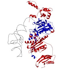 Image of CATH 1eiy