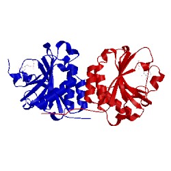 Image of CATH 1ej1