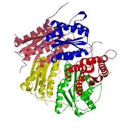 Image of CATH 1ejb