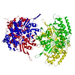 Image of CATH 1eji