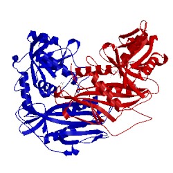 Image of CATH 1ekf