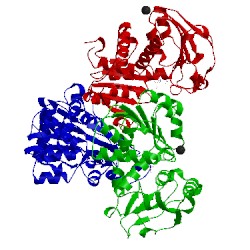 Image of CATH 1ekx