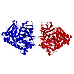 Image of CATH 1eli