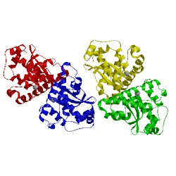 Image of CATH 1en5