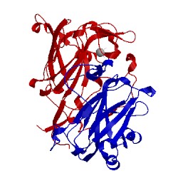 Image of CATH 1eoa