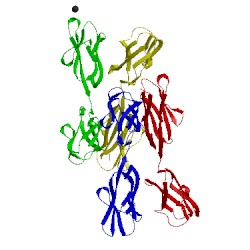 Image of CATH 1epf