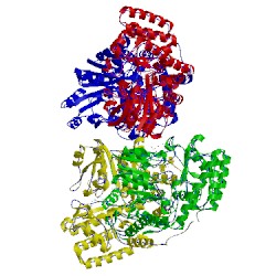 Image of CATH 1eqb