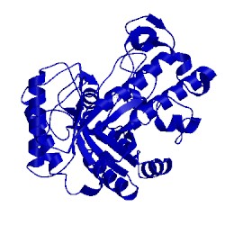 Image of CATH 1eqc