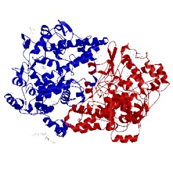 Image of CATH 1eqh