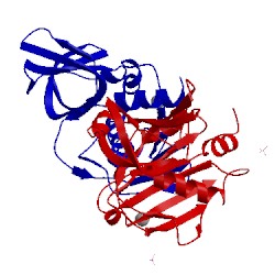 Image of CATH 1eu3