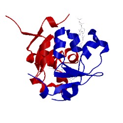 Image of CATH 1eue