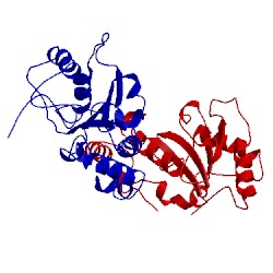 Image of CATH 1eui