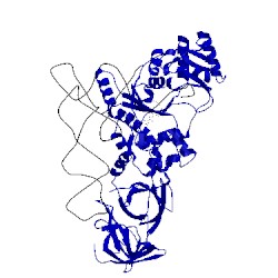 Image of CATH 1euy