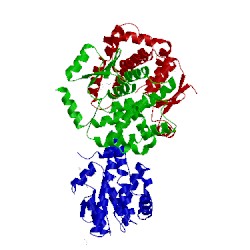 Image of CATH 1ev4
