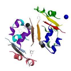 Image of CATH 1ev6