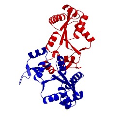 Image of CATH 1ex6