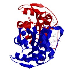 Image of CATH 1exc