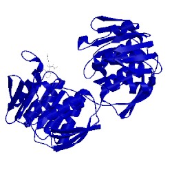 Image of CATH 1eyn