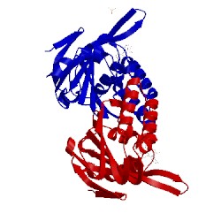 Image of CATH 1eyq
