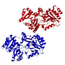 Image of CATH 1f0x