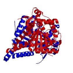 Image of CATH 1f17