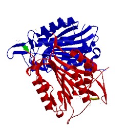 Image of CATH 1f1j