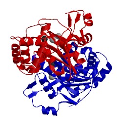 Image of CATH 1f1z