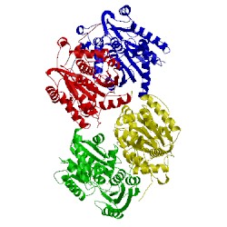 Image of CATH 1f2d