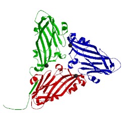 Image of CATH 1f2n