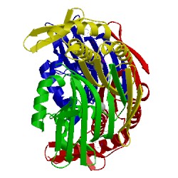 Image of CATH 1f2u