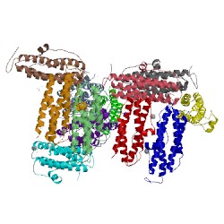 Image of CATH 1f30