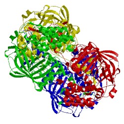 Image of CATH 1f4j