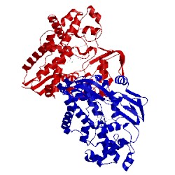 Image of CATH 1f4u