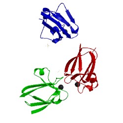 Image of CATH 1f56