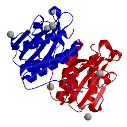 Image of CATH 1f5m