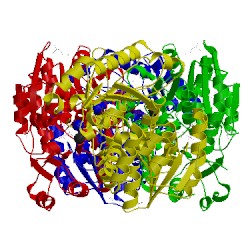 Image of CATH 1f6d