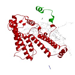 Image of CATH 1f6n