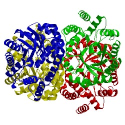 Image of CATH 1f6p