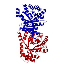 Image of CATH 1f6y